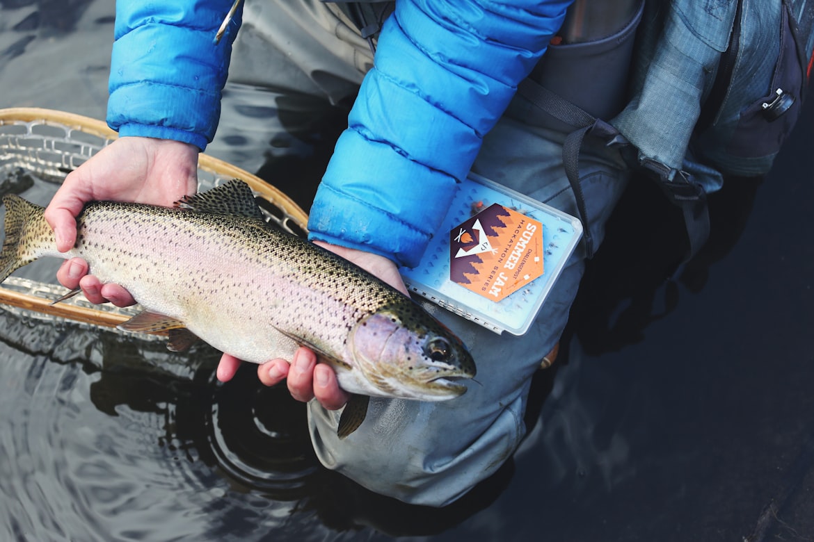 Angler hält frisch gefangenen Fisch über dem Wasser