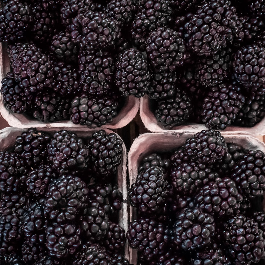 Brombeer-Marmelade