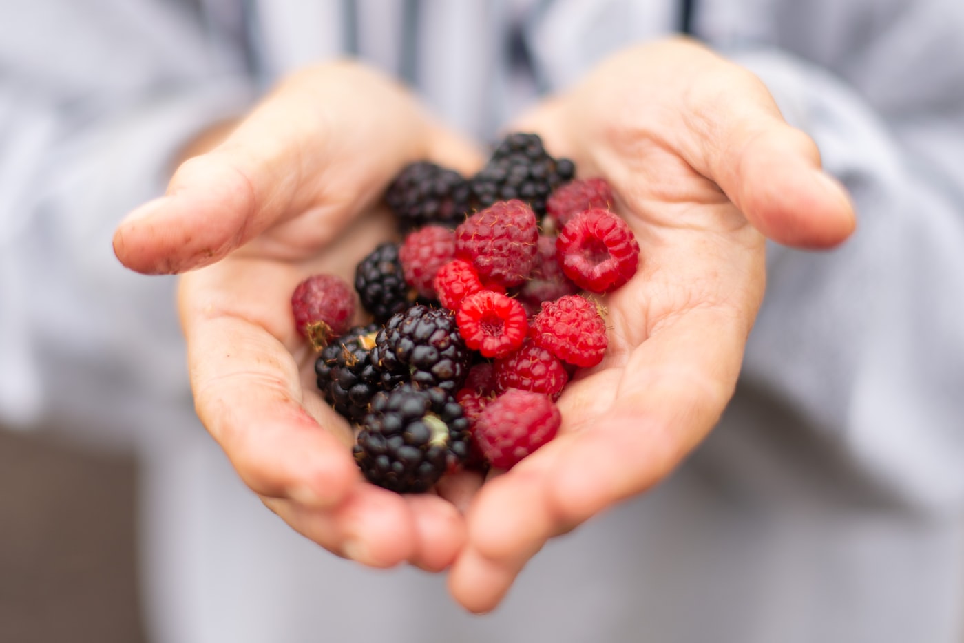Brombeeren und Himbeeren gemeinsam in Kinderhänden
