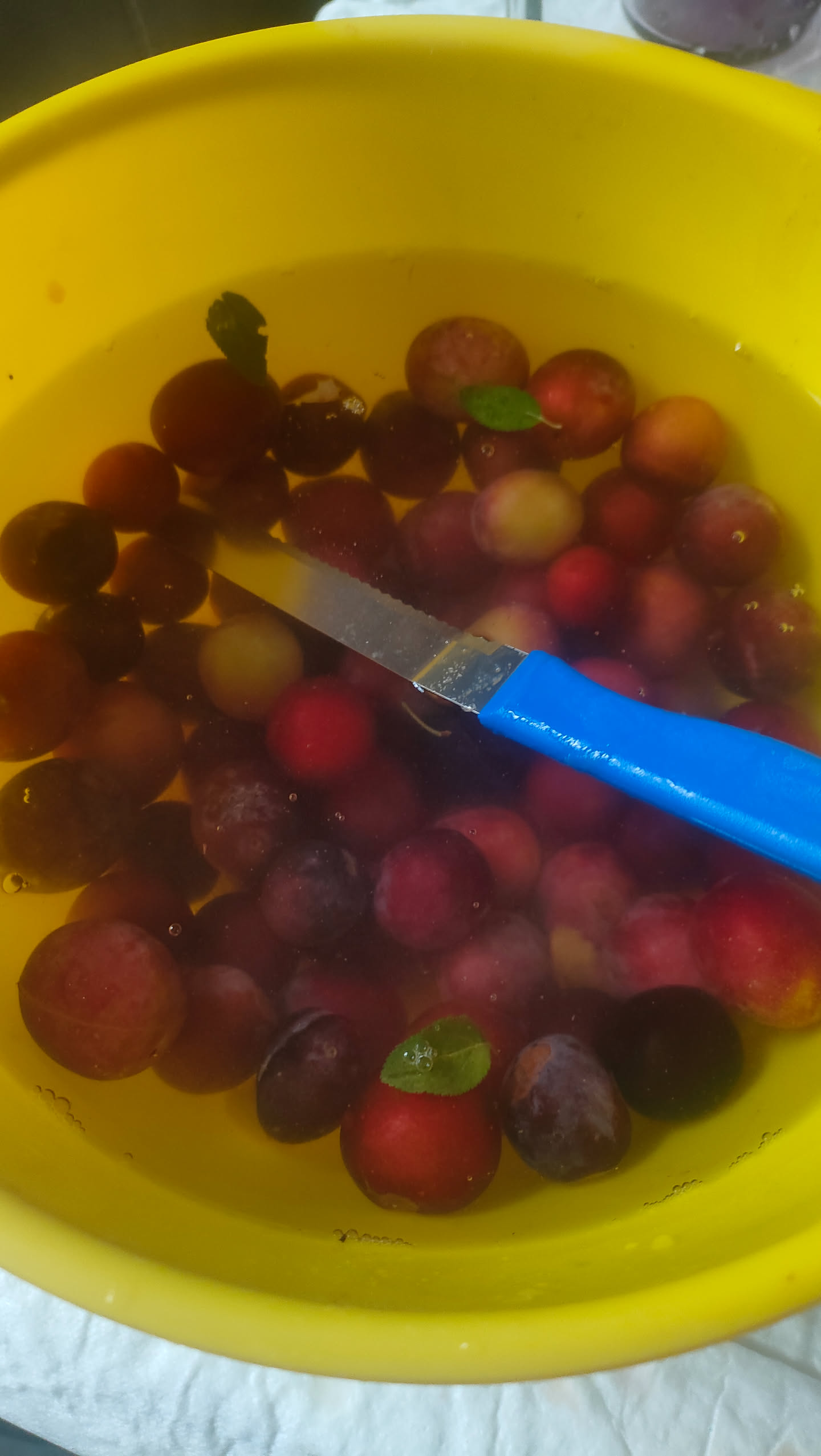 Kirschpflaumen in einer gelben Schüssel mit Wasser, ein Messer mit blauem Griff liegt bereit zum Aufschneiden