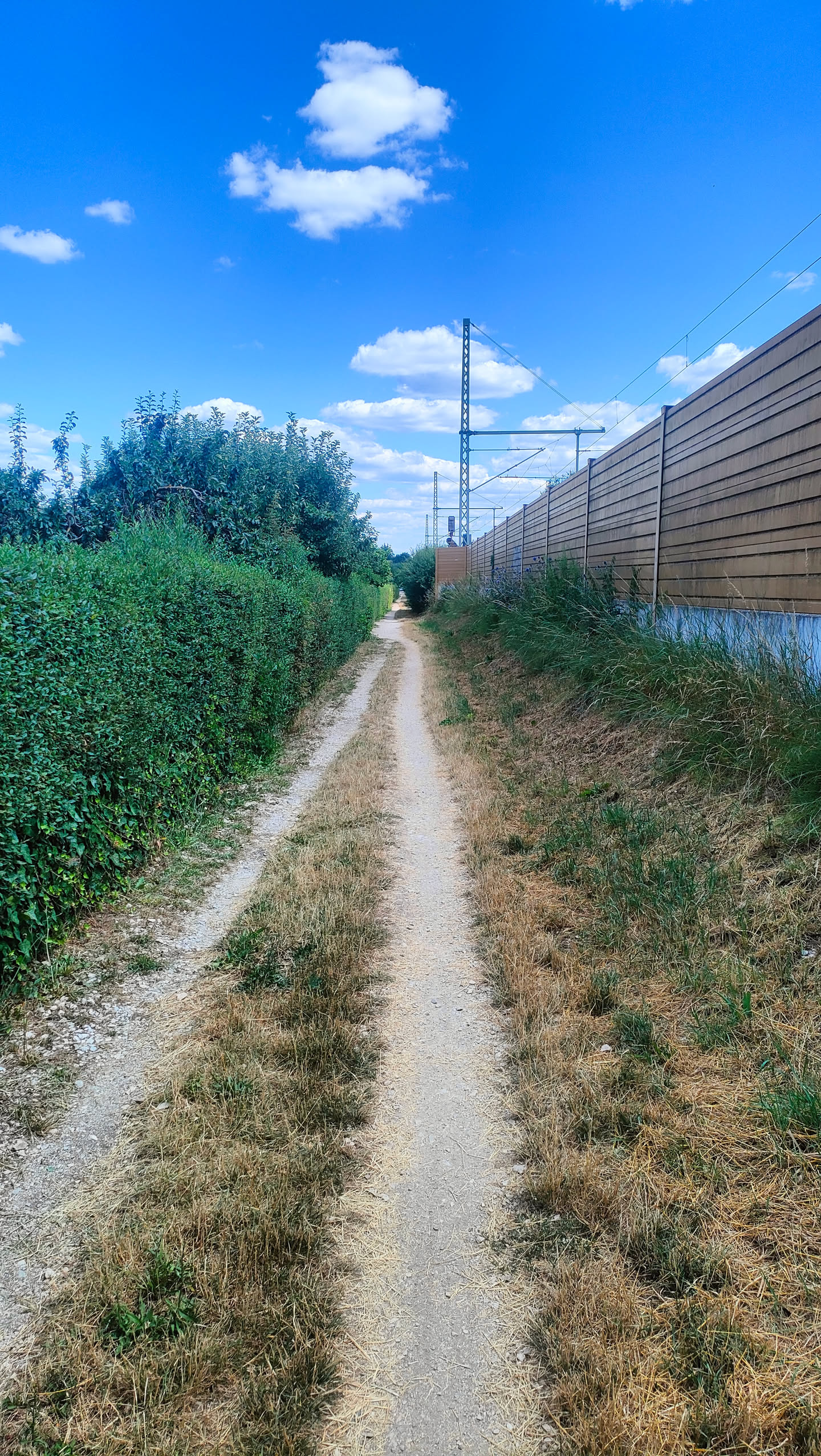 Schmaler Weg zwischen einer Hecke der Kleingärten links und einer Lärmschutzwand mit Oberleitung der aktiven Bahnlinie rechts