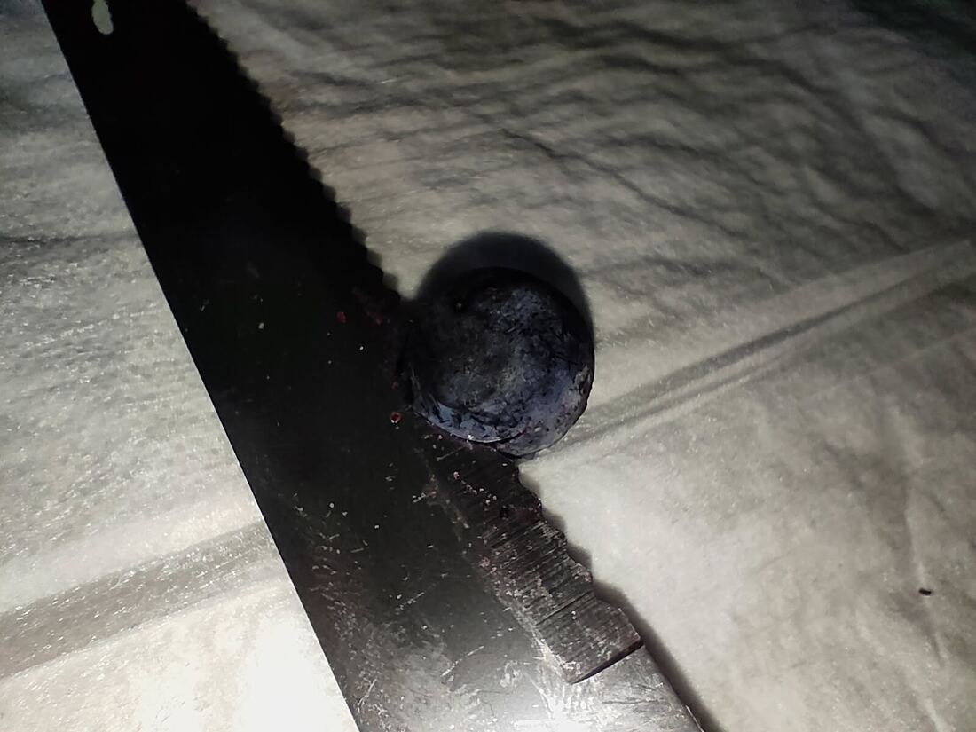 Eine aufgetaute Schlehe wird mit einem Messer angeschnitten