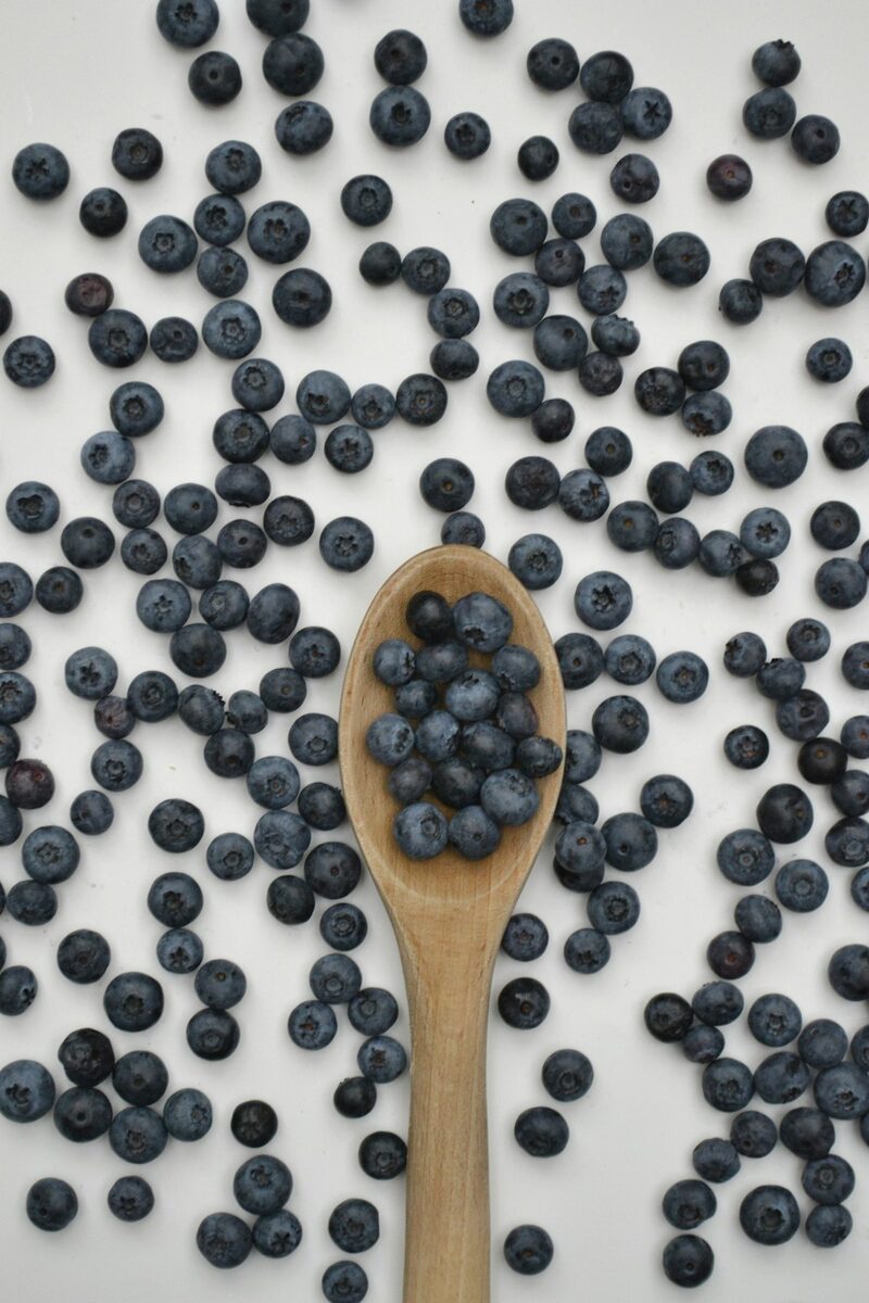 Frische Waldheidelbeeren auf einem Holzlöffel, Basis für Heidelbeerlikör