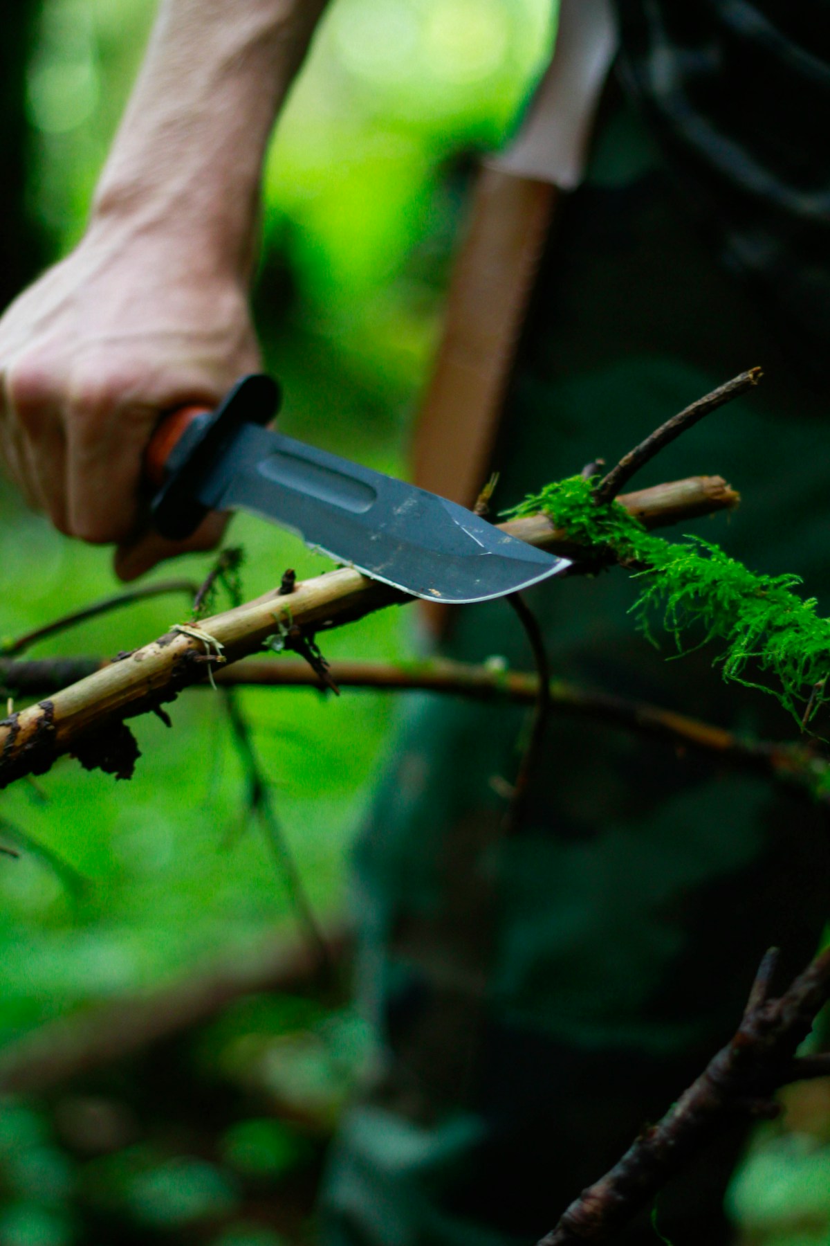 Hand hält feststehende Klinge beim Schnitzen eines bemoosten Astes im Wald – klassische Buschcraft-Arbeit