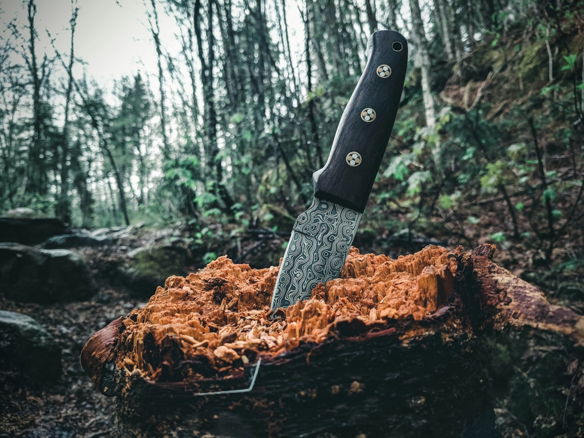Damastmesser mit G10-Griff aufrecht in einem morschen Baumstumpf im Wald – Handwerkskunst trifft Wildnis