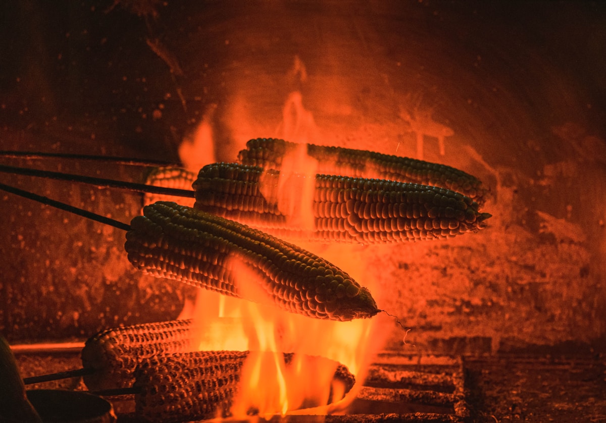 Maiskolben direkt über dem Lagerfeuer auf dem Grillrost – dramatisch beleuchtet von den Flammen