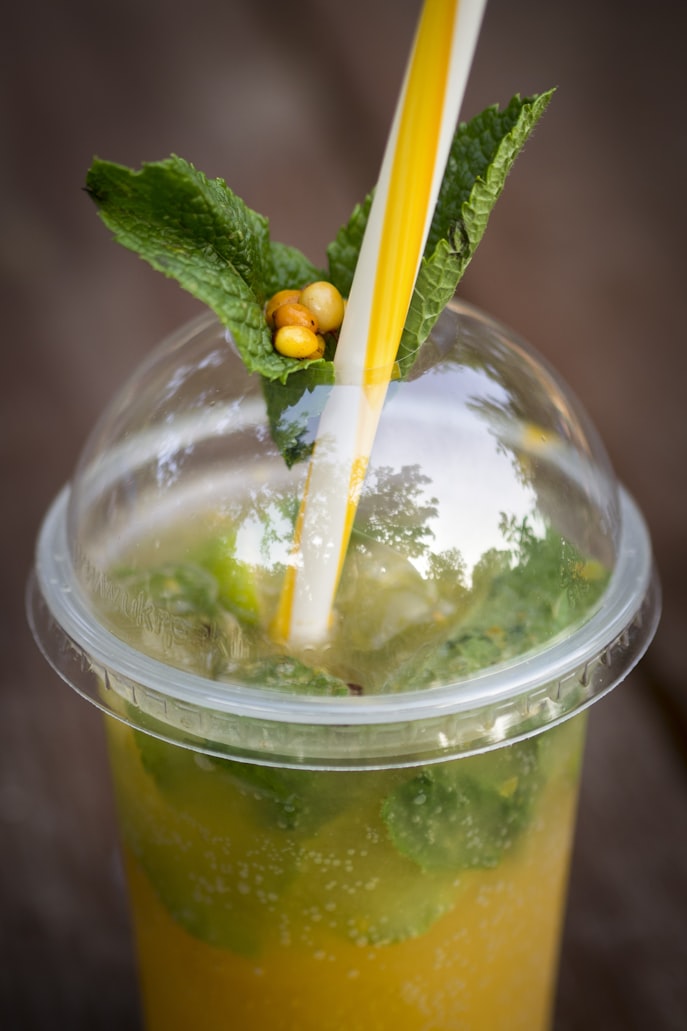 Sanddorn-Drink mit Minze und orangen Beeren als Garnitur – Sanddorn-Sirup verdünnt mit Mineralwasser