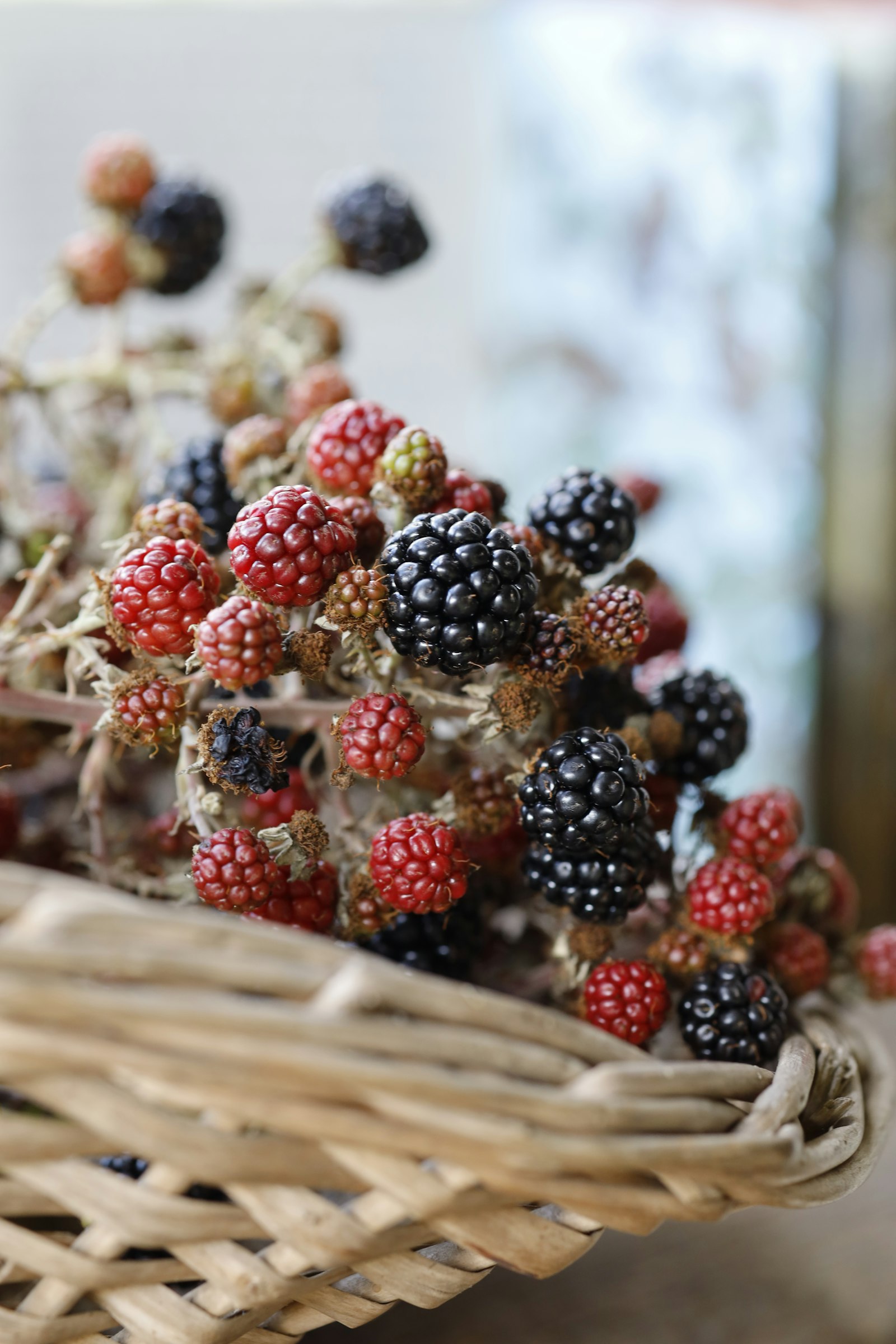 Korb mit Brombeeren und Wildbeeren